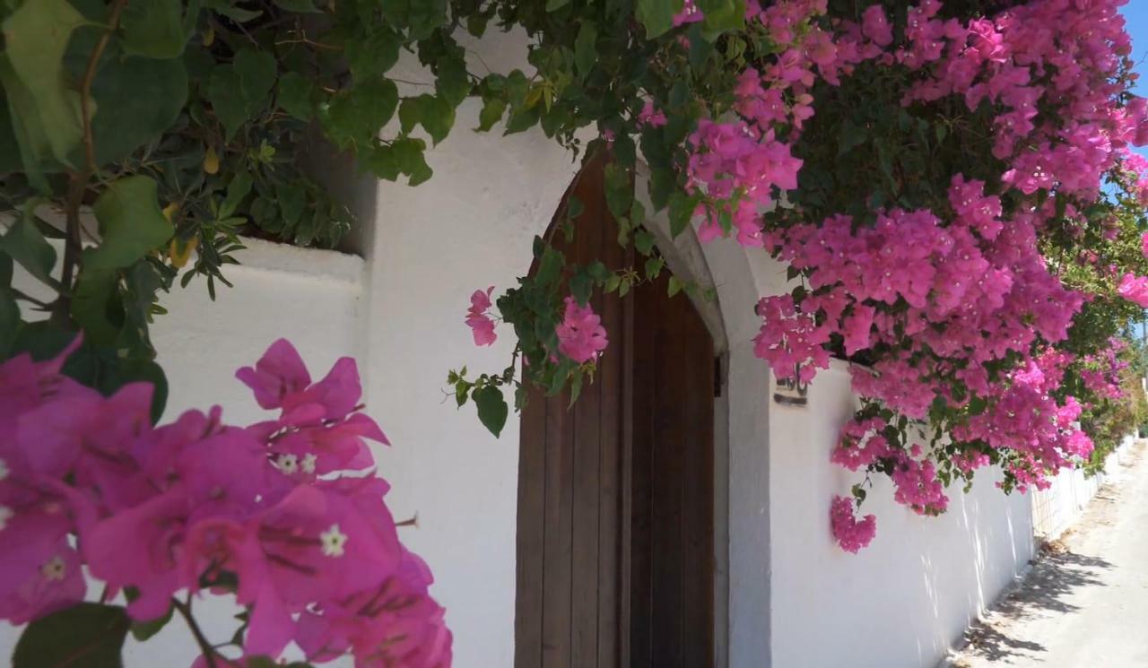 Alexiszorba Villa Плака Экстерьер фото
